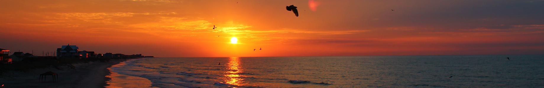 Movers in Morehead City, NC